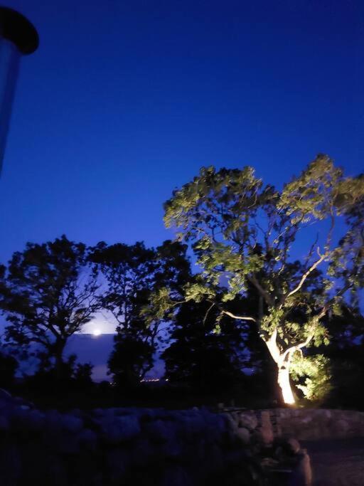Wildthorn Cottage Moyad エクステリア 写真